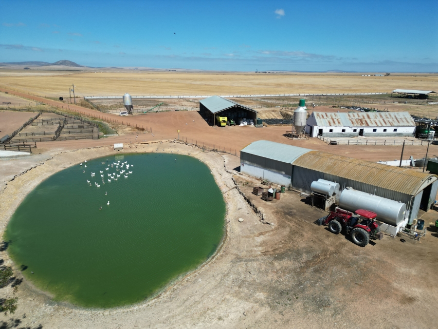 5 Bedroom Property for Sale in Darling Western Cape